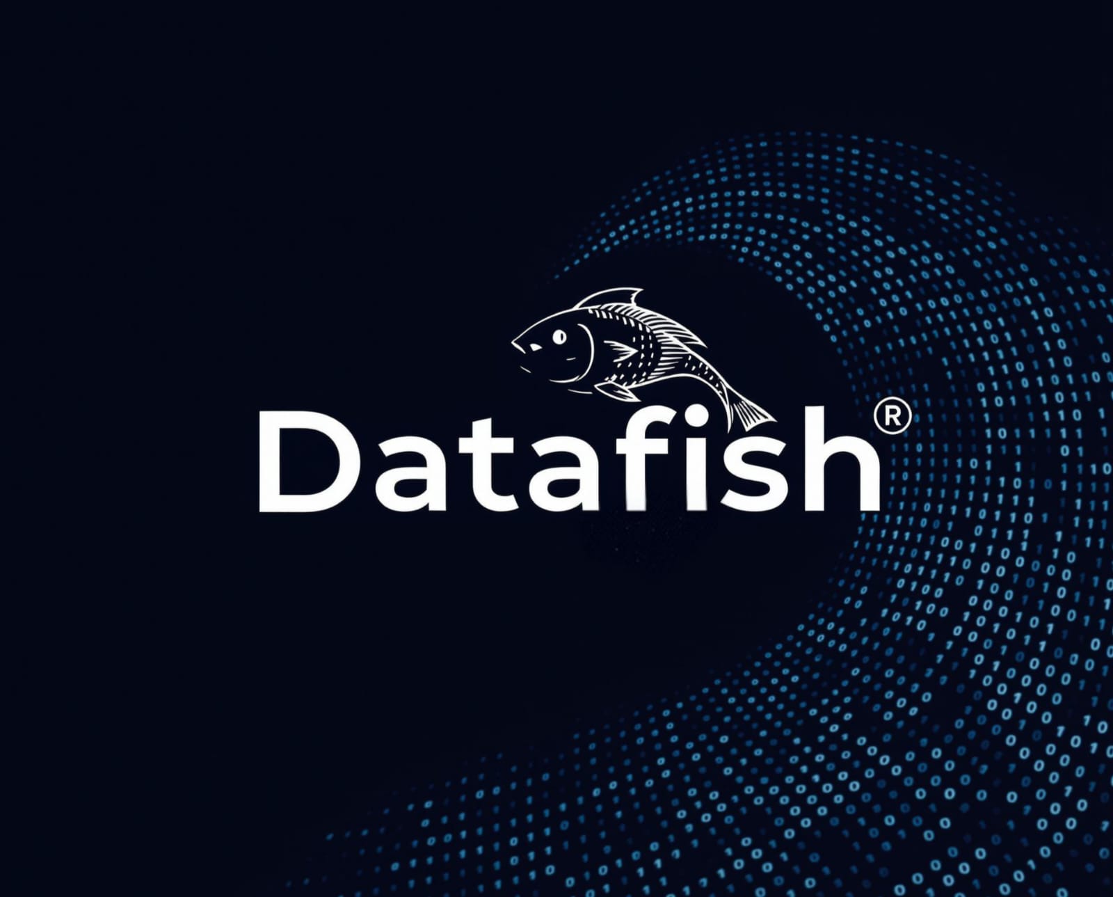 Logo Datafish
